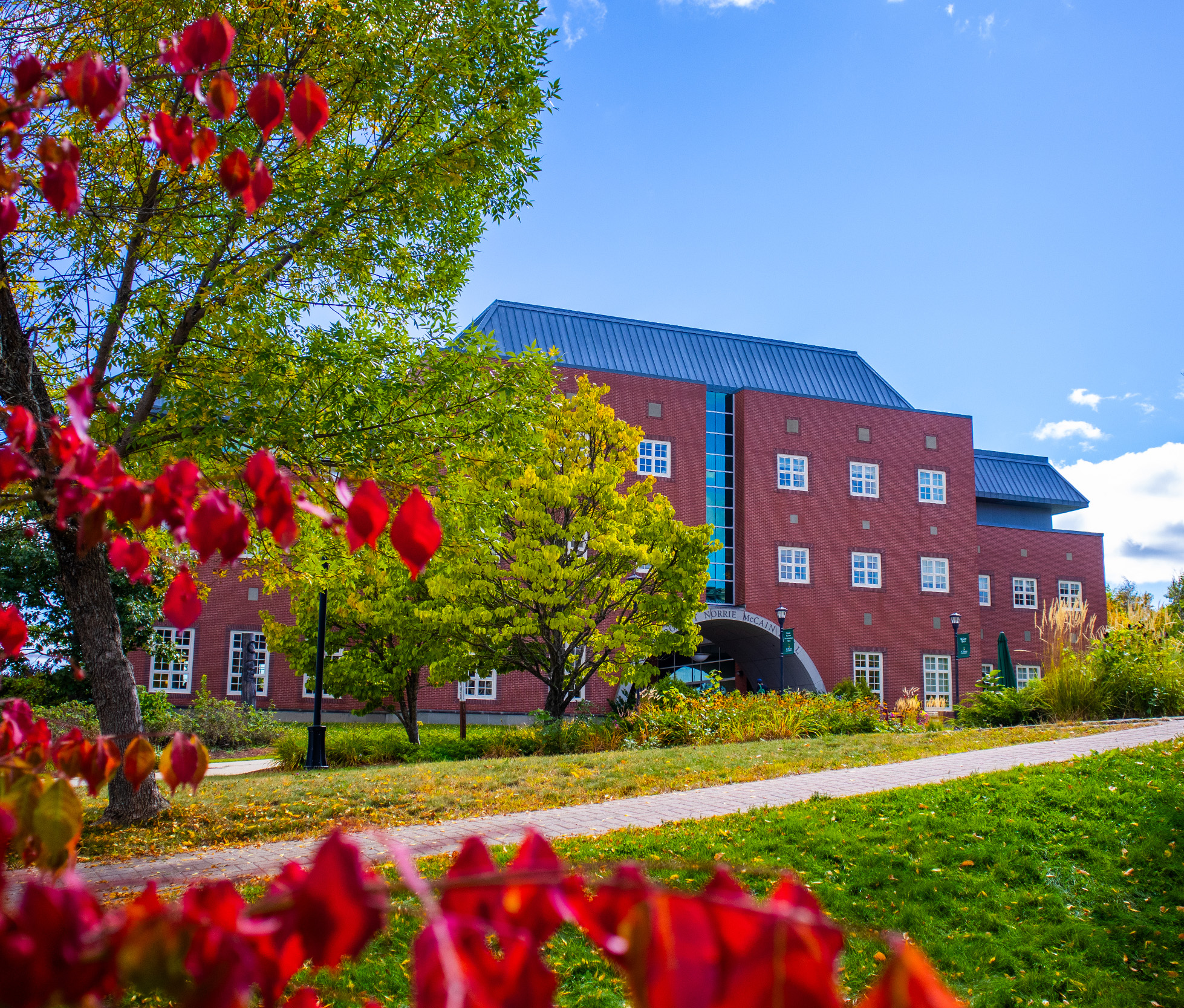 McCain Hall surrounded by trees with leaves that are changing colour