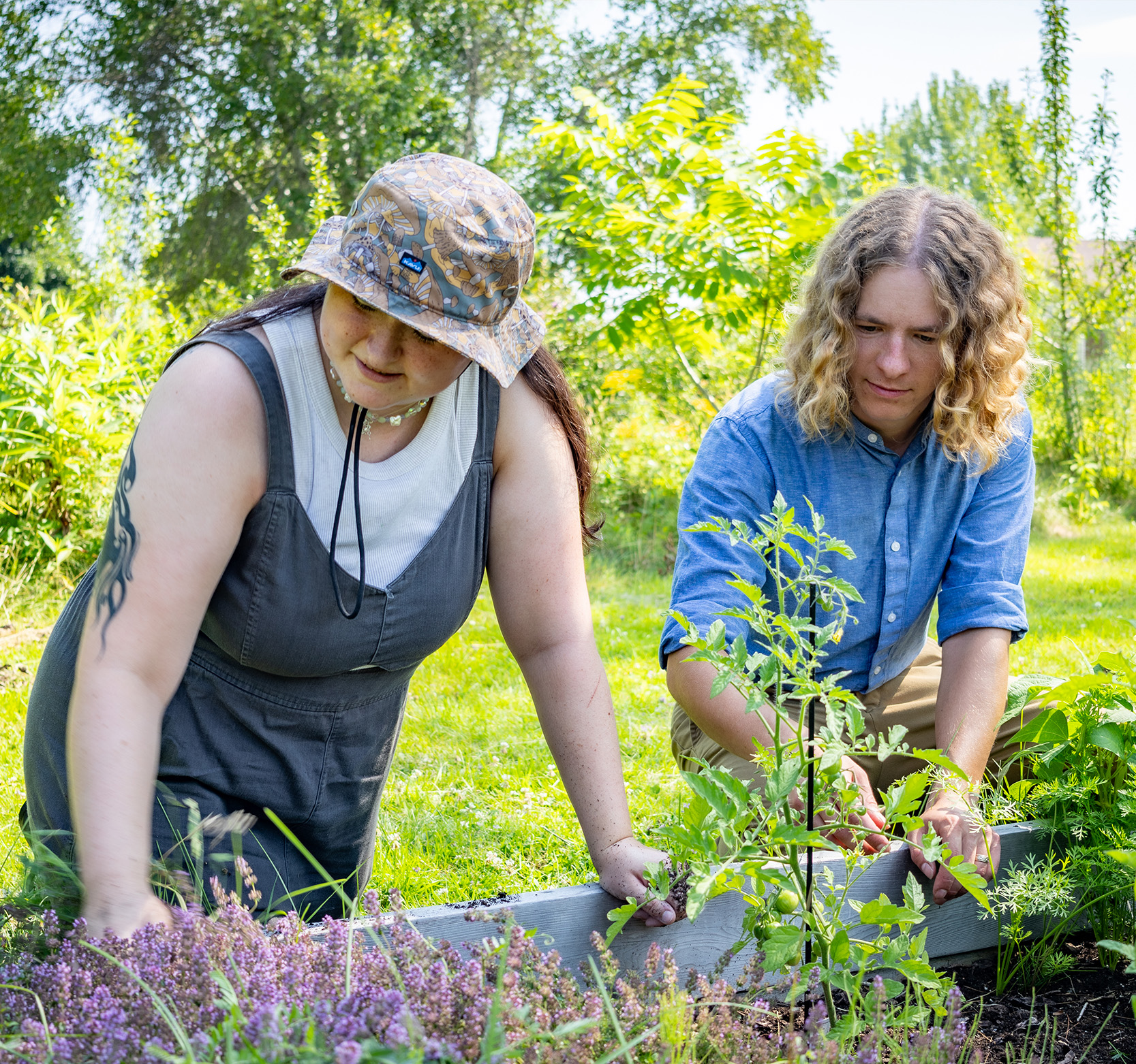 Image for STU Launches Major and Honours in Sustainability and Environmental Studies 