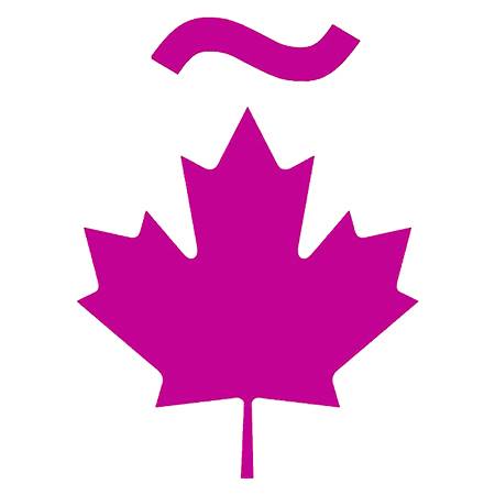 Asociación de Latinoamericanistas e Hispanistas de las Provincias del Atlántico Canadiense (ALHPACA) - Day 1