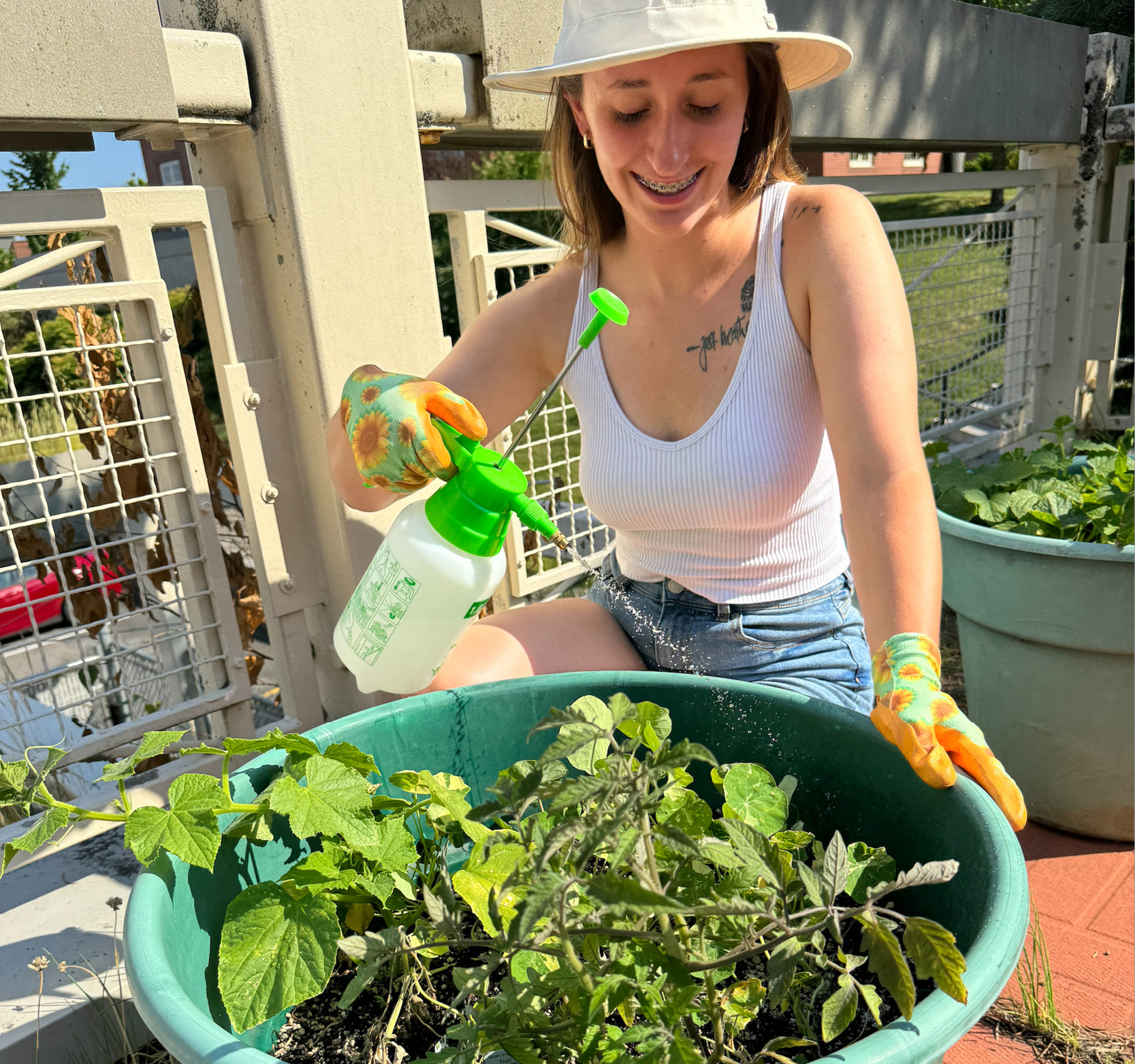 Image for October is Sustainability Month at STU
